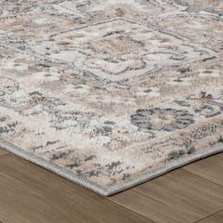 Home Outfitters 4' X 6' Gray and Beige Oriental Distressed Area Rug