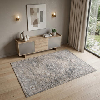 Home Outfitters 4' X 6' Gray and Beige Oriental Distressed Area Rug