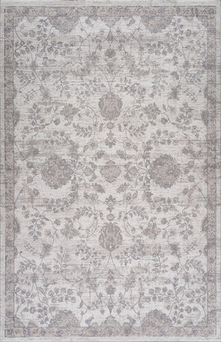 Home Outfitters 4' X 6' Beige and Gray Floral Distressed Area Rug