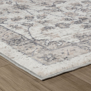 Home Outfitters 4' X 6' Beige and Gray Floral Distressed Area Rug