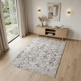 Home Outfitters 4' X 6' Beige and Gray Abstract Distressed Area Rug
