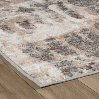 Home Outfitters 4' X 6' Beige and Brown Abstract Distressed Area Rug