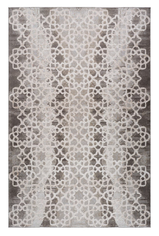 Home Outfitters 4' X 6' Brown and Beige Abstract Distressed Area Rug