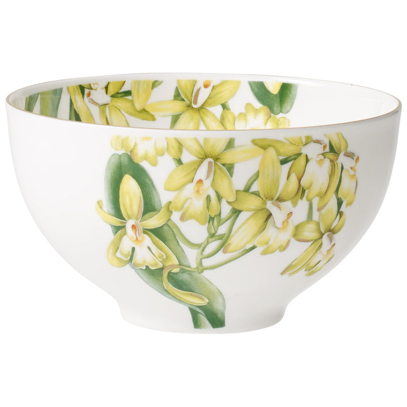 AMAZONIA Bowl 4", Set of 12