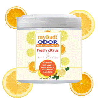 my Bad! Odor Eliminator Gel 15 oz - Fresh Citrus, Air Freshener - Eliminates Odors in Bathroom, Pet Area, Closets