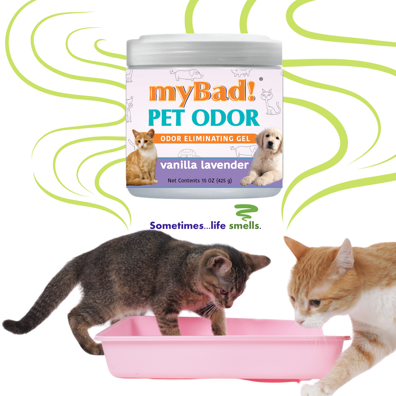 my Bad! Pet Odor Eliminator Gel 15 oz - Vanilla Lavender (2 PACK),  Air Freshener - Eliminates Odors in Pet Area, Bathroom, Closet, and more