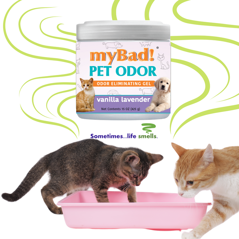 my Bad! Pet Odor Eliminator Gel 15 oz - Vanilla Lavender (3 PACK),  Air Freshener - Eliminates Odors in Pet Area, Bathroom, Closet, and more