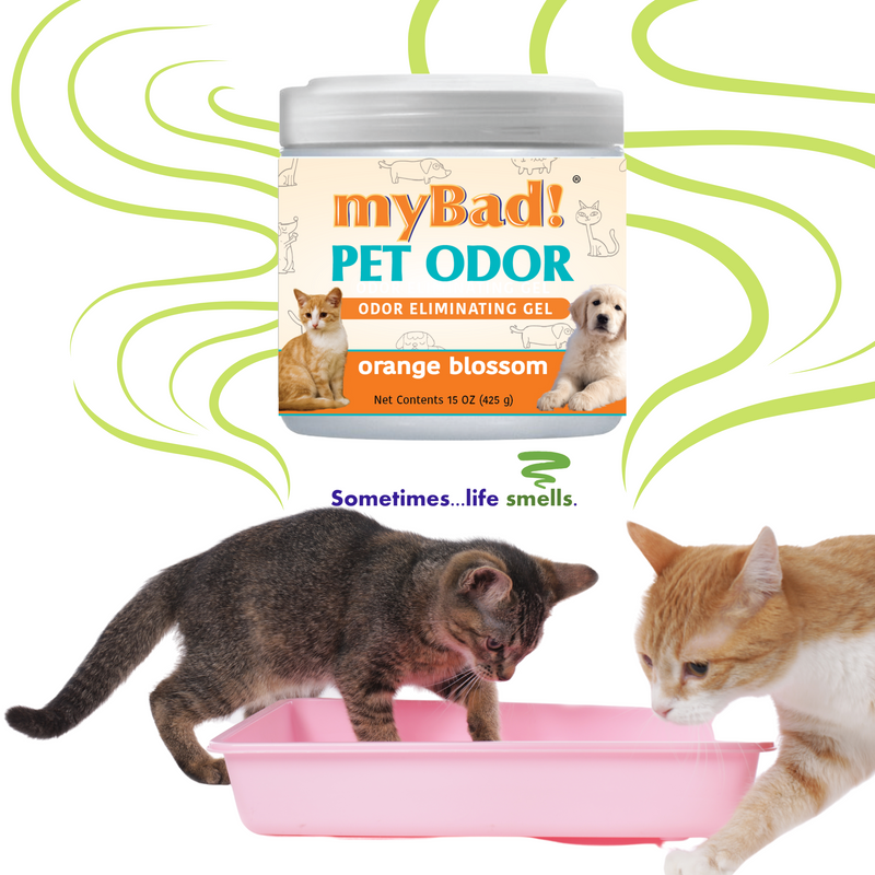 my Bad! Pet Odor Eliminator Gel 15 oz - Orange Blossom,  Air Freshener - Eliminates Odors in Pet Area, Bathroom, Closet, and more