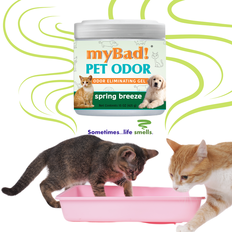 my Bad! Pet Odor Eliminator Gel 15 oz - Spring Breeze,  Air Freshener - Eliminates Odors in Pet Area, Bathroom, Closet, and more