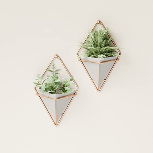 Umbra Trigg Hanging Planter Vase & Geometric Wall Decor Container - Great For Succulent Plants, Air Plant, Mini Cactus, Faux Plants and More, Concrete Resin/Copper (Set of 2)