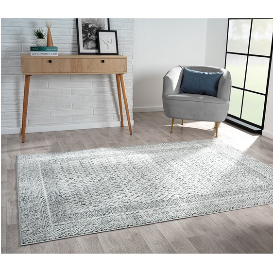 Home Outfitters Grey/Cream Moroccan Bordered Global Woven Area Rug 3x5&