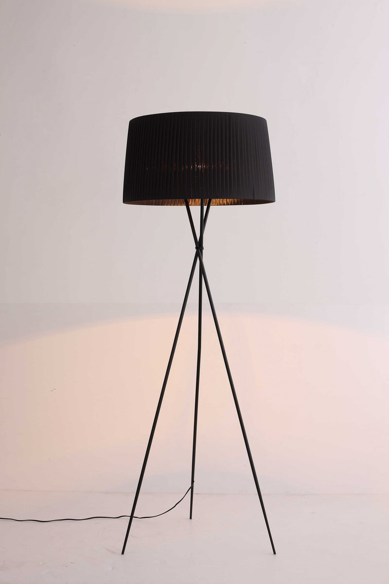 Home Outfitters 20 X 20 X 69 Black Carbon Floor Lamp