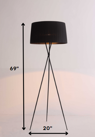 Home Outfitters 20 X 20 X 69 Black Carbon Floor Lamp