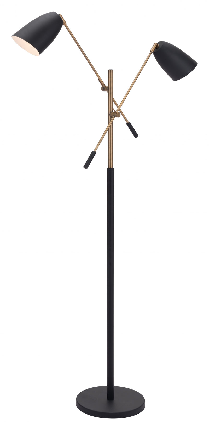 Home Outfitters Black and Gold Adjustable Floor Lamp