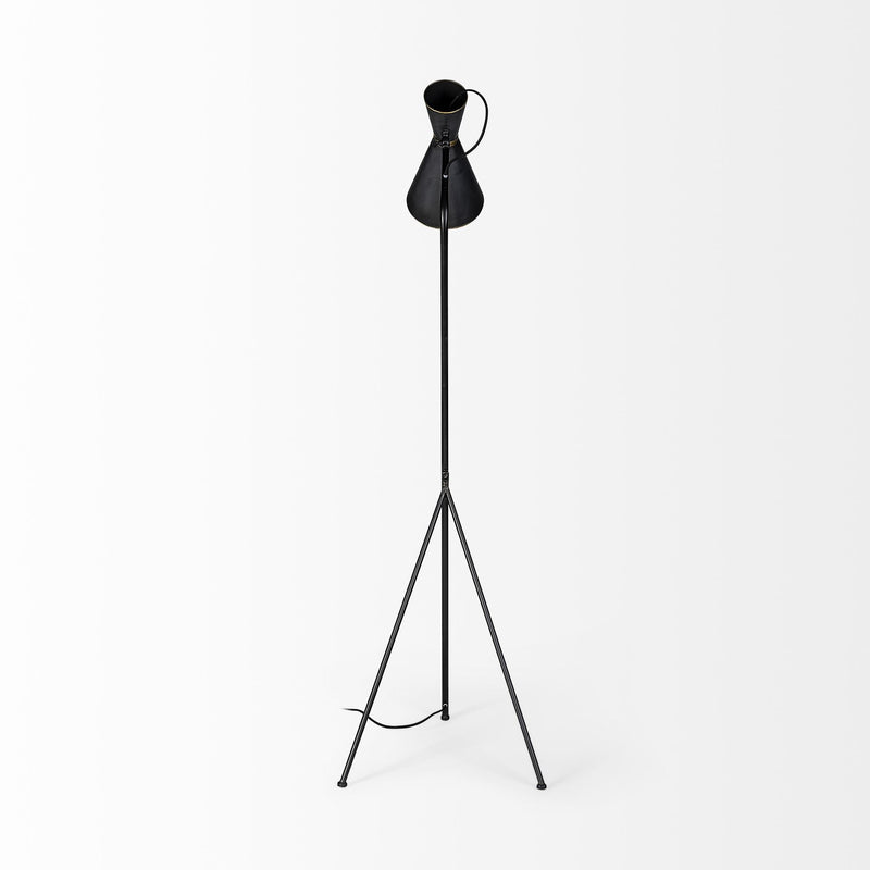 Home Outfitters Black and Brass Conical Metal Floor Lamp