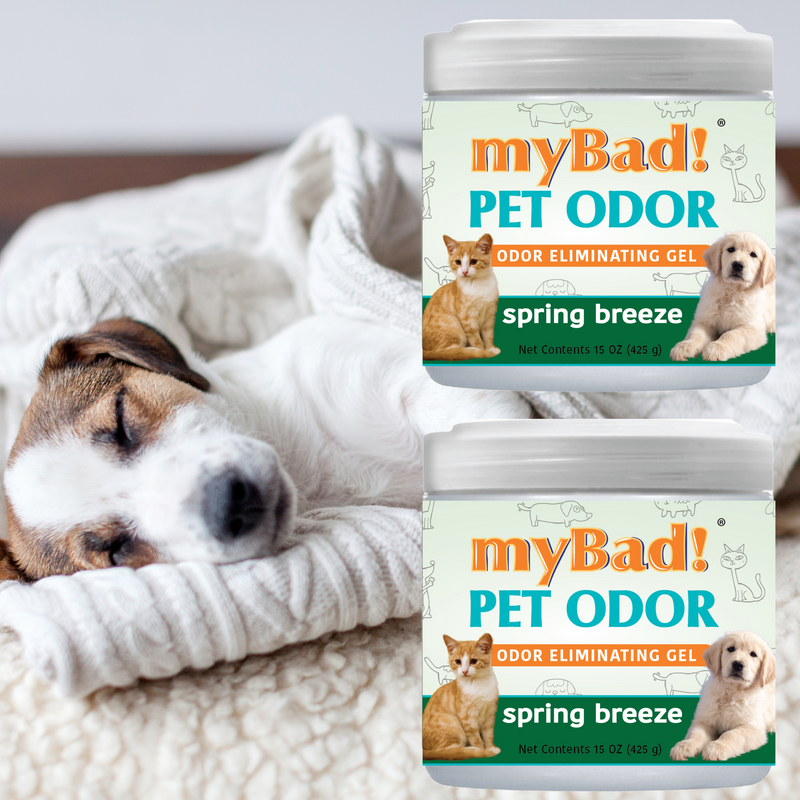 my Bad! Pet Odor Eliminator Gel 15 oz - Spring Breeze (2 PACK),  Air Freshener - Eliminates Odors in Pet Area, Bathroom, Closet, and more