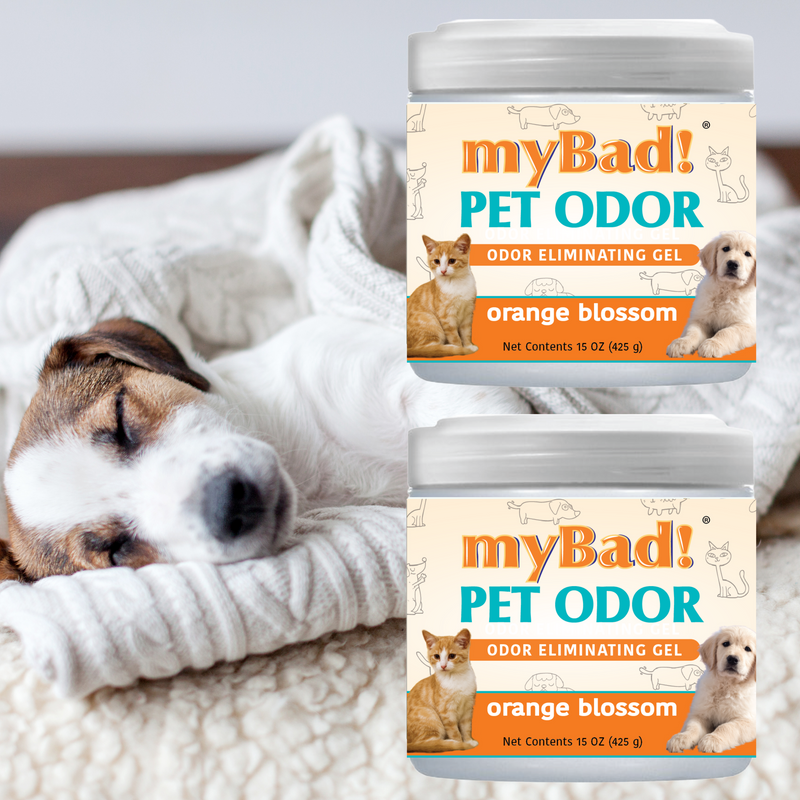 my Bad! Pet Odor Eliminator Gel 15 oz - Orange Blossom (2 PACK),  Air Freshener - Eliminates Odors in Pet Area, Bathroom, Closet, and more