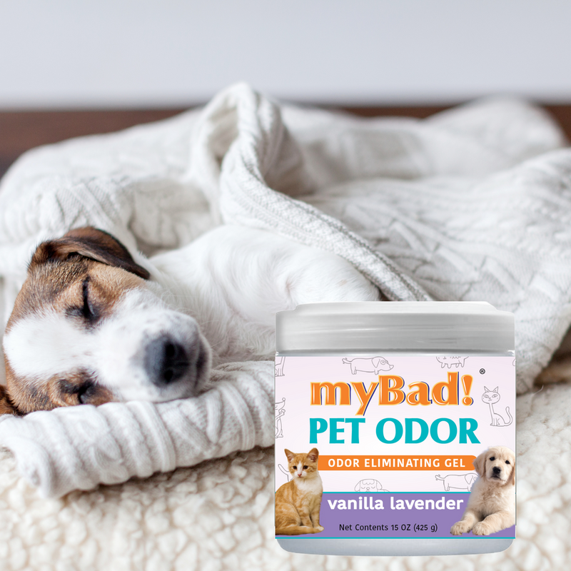 my Bad! Pet Odor Eliminator Gel 15 oz - Vanilla Lavender,  Air Freshener - Eliminates Odors in Pet Area, Bathroom, Closet, and more