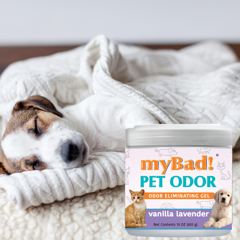 my Bad! Pet Odor Eliminator Gel 15 oz - Vanilla Lavender (3 PACK),  Air Freshener - Eliminates Odors in Pet Area, Bathroom, Closet, and more