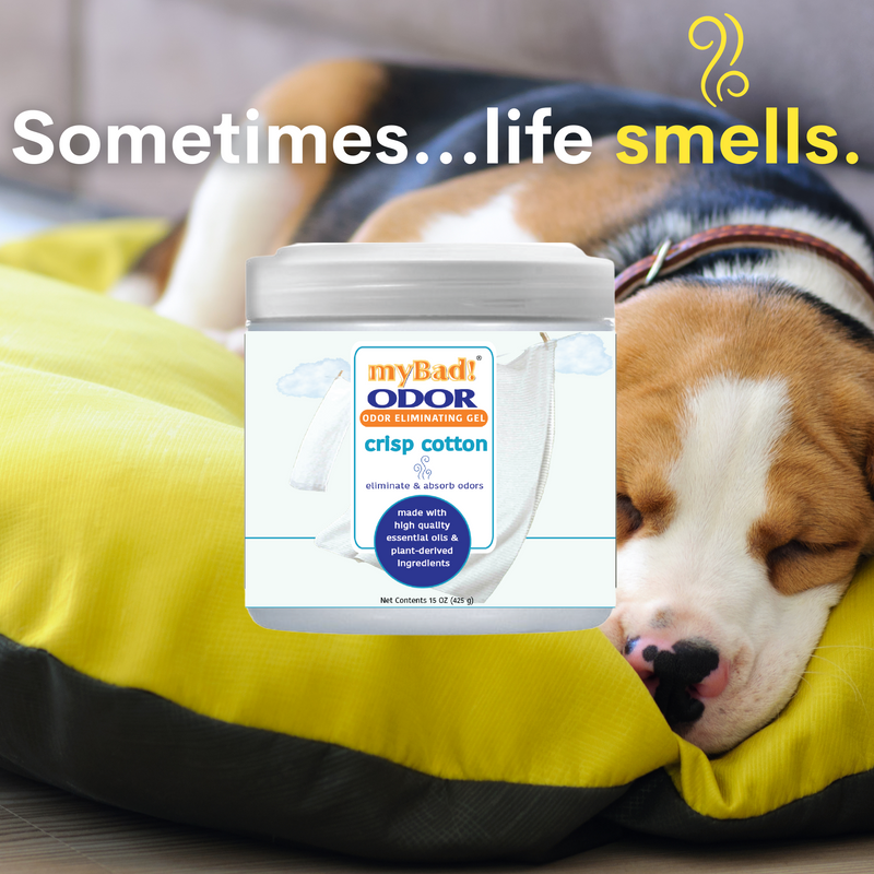 my Bad! Odor Eliminator Gel 15 oz  - Crisp Cotton (6 PACK) Air Freshener - Eliminates Odors in Bathroom, Pet Area, Closets