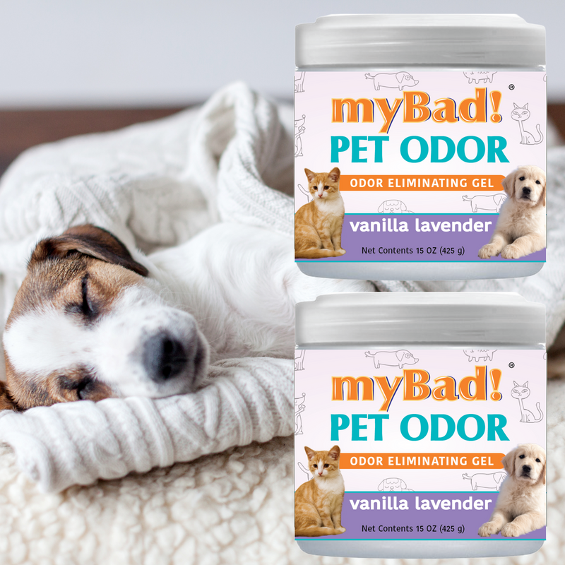 my Bad! Pet Odor Eliminator Gel 15 oz - Vanilla Lavender (2 PACK),  Air Freshener - Eliminates Odors in Pet Area, Bathroom, Closet, and more