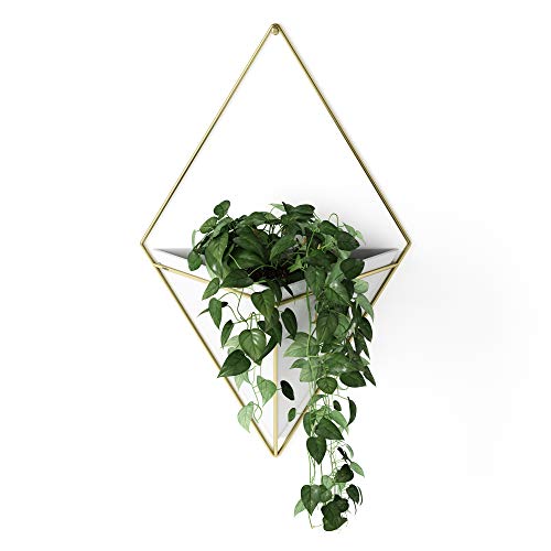 Umbra Trigg Hanging Planter Vase & Geometric Wall Decor Ceramic Container - Great For Succulent Plants, Air Plant, Mini Cactus, Faux Plants and More, Large, White/Brass