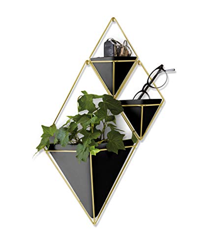 Umbra Trigg Hanging Planter Vase & Geometric Wall Decor Ceramic Container - Great For Succulent Plants, Air Plant, Mini Cactus, Faux Plants and More, Large, Black/Brass