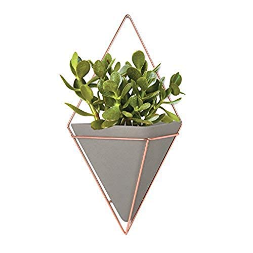 Umbra Altman Plants Succulents Flowering Collection 3.5 inch - 3 Pack Trigg Hanging Planter - Large Copper