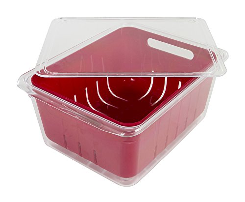 Kitchen Spaces Colander Bin Stackable Food Storage Organizer for Fridge, Freezer, and Pantry, 8.8" x 6.8" x 3.9", Red & Clear