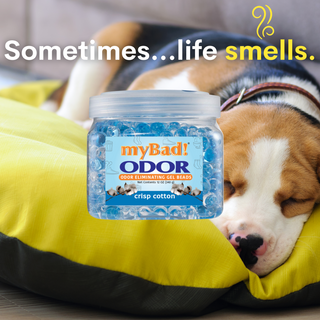 my Bad! Odor Eliminator Gel Beads 12 oz - Crisp Cotton, Air Freshener - Eliminates Odors in Bathroom, Pet Area, Closets