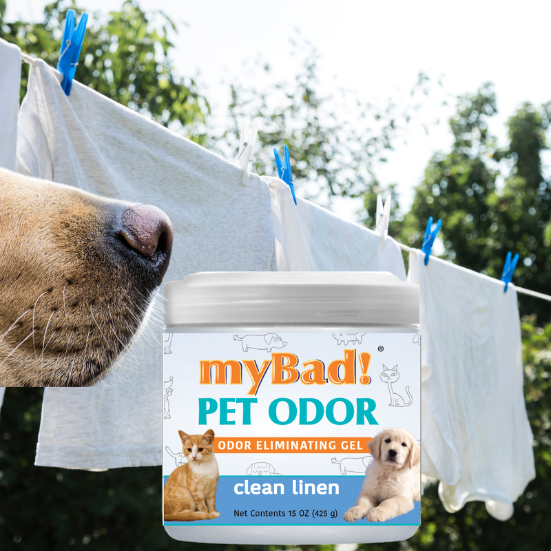 my Bad! Pet Odor Eliminator Gel 15 oz - Clean Linen (3 PACK),  Air Freshener - Eliminates Odors in Pet Area, Bathroom, Closet, and more