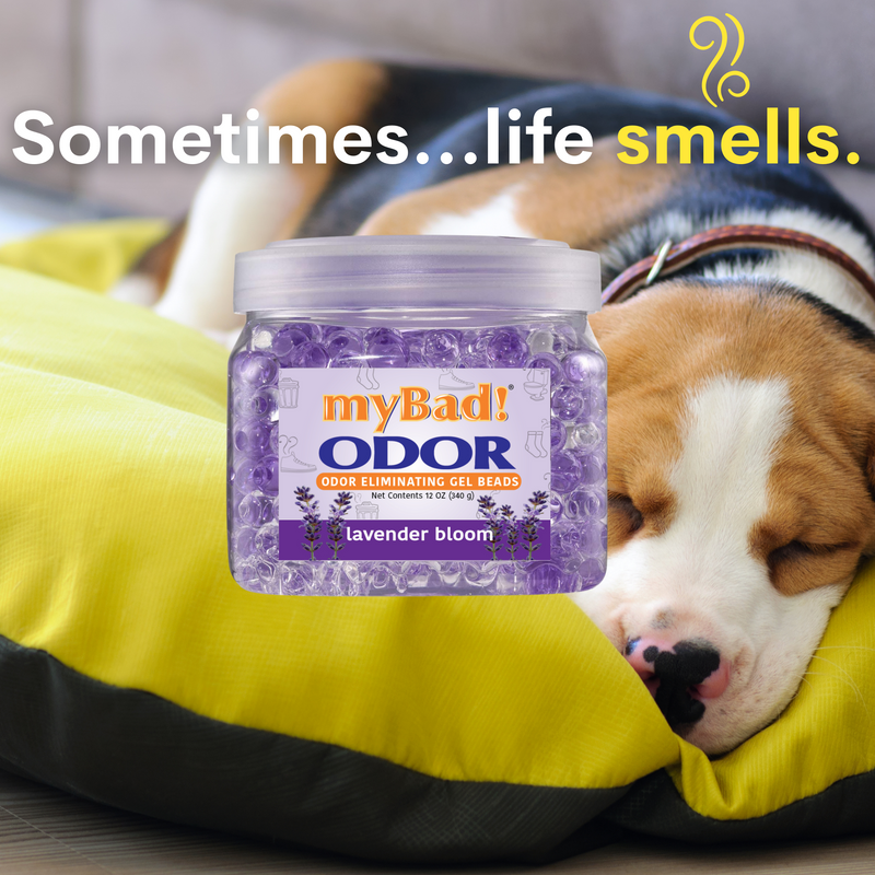 my Bad! Odor Eliminator Gel Beads 12 oz - Lavender Bloom, Air Freshener - Eliminates Odors in Bathroom, Pet Area, Closets