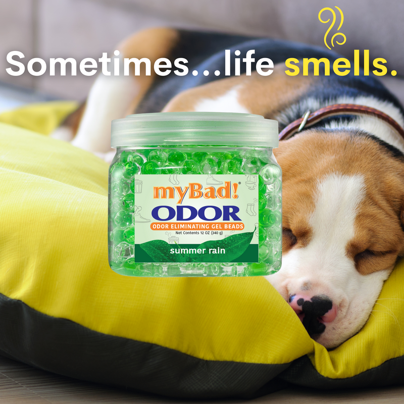 my Bad! Odor Eliminator Gel Beads 12 oz - Summer Rain (2 PACK) Air Freshener - Eliminates Odors in Bathroom, Pet Area, Closets