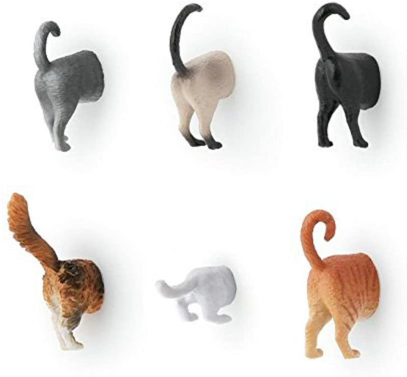 BUTT MAGNETS CAT S/6