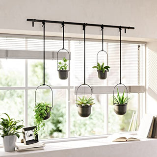 Umbra Triflora Hanging Planters, Set of 5, Black