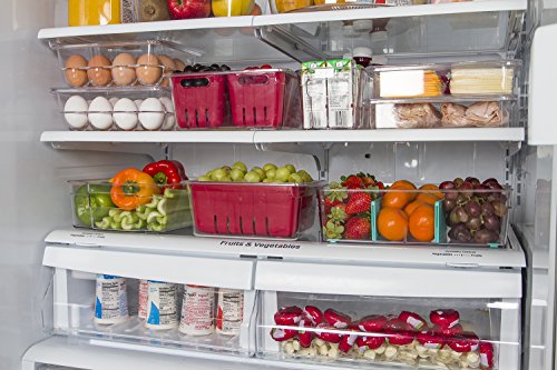 Kitchen Spaces Medium Bin Food Storage Organizer for Fridge and Pantry, 12.3" x 8.3" x3.5", Clear