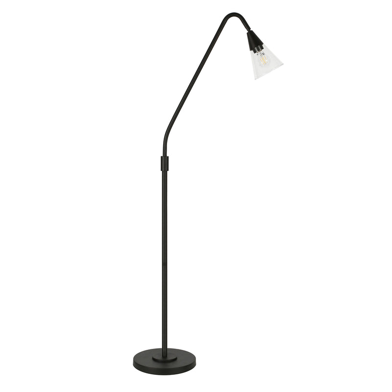 Home Outfitters 65" Black Reading Floor Lamp With Clear Transparent Glass Dome Shade