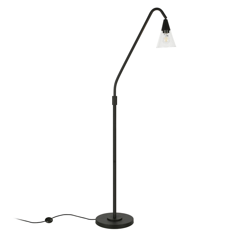 Home Outfitters 65" Black Reading Floor Lamp With Clear Transparent Glass Dome Shade