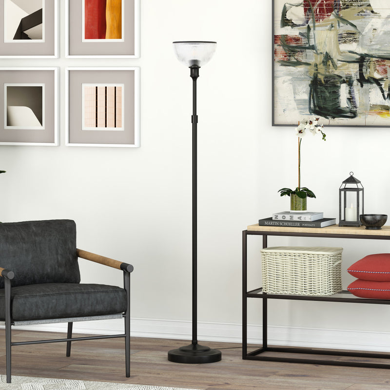 Home Outfitters 65" Black Novelty Floor Lamp With Clear Transparent Glass Dome Shade