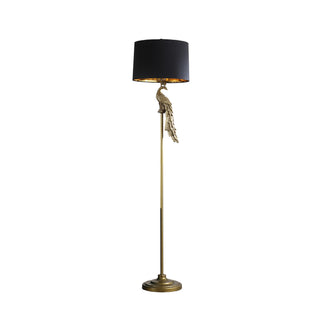 Home Outfitters 65" Burnished Gold Floor Lamp With Black Drum Shade