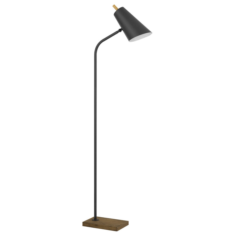 Home Outfitters 66" Bronze Traditional Shaped Floor Lamp