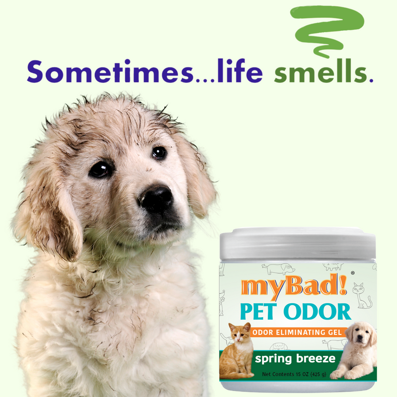 my Bad! Pet Odor Eliminator Gel 15 oz - Spring Breeze (2 PACK),  Air Freshener - Eliminates Odors in Pet Area, Bathroom, Closet, and more