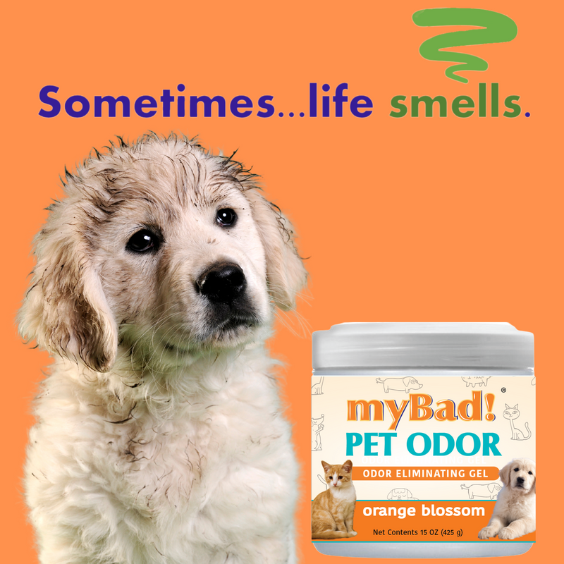 my Bad! Pet Odor Eliminator Gel 15 oz - Orange Blossom (3 PACK),  Air Freshener - Eliminates Odors in Pet Area, Bathroom, Closet, and more