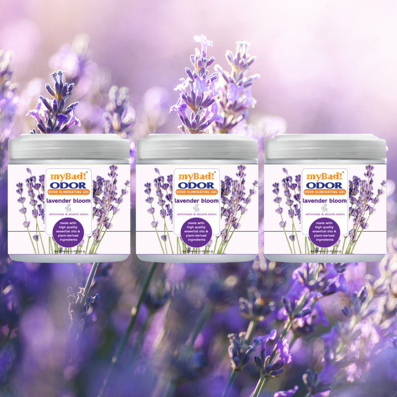 my Bad! Odor Eliminator Gel 15 oz - Lavender Bloom (3 PACK) Air Freshener - Eliminates Odors in Bathroom, Pet Area, Closets