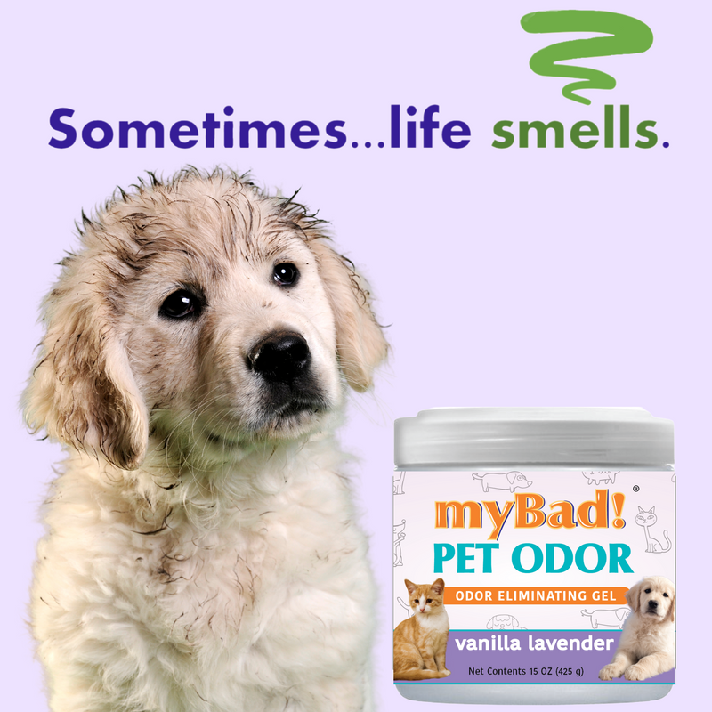 my Bad! Pet Odor Eliminator Gel 15 oz - Vanilla Lavender (3 PACK),  Air Freshener - Eliminates Odors in Pet Area, Bathroom, Closet, and more