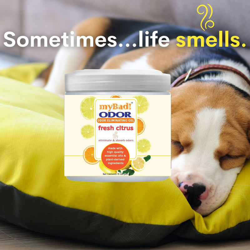 my Bad! Odor Eliminator Gel 15 oz - Fresh Citrus,  Air Freshener - Eliminates Odors in Bathroom, Pet Area, Closets