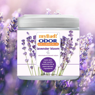 my Bad! Odor Eliminator Gel 15 oz - Lavender Bloom, Air Freshener - Eliminates Odors in Bathroom, Pet Area, Closets