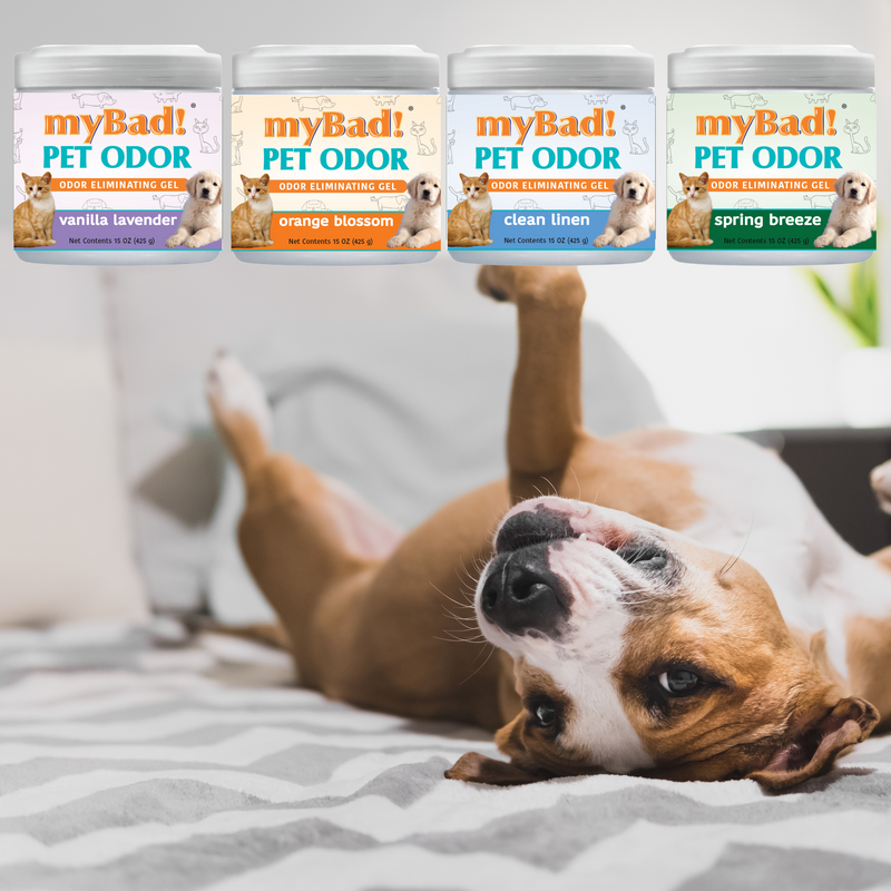 my Bad! Pet Odor Eliminator Gel 15 oz - Orange Blossom (3 PACK),  Air Freshener - Eliminates Odors in Pet Area, Bathroom, Closet, and more