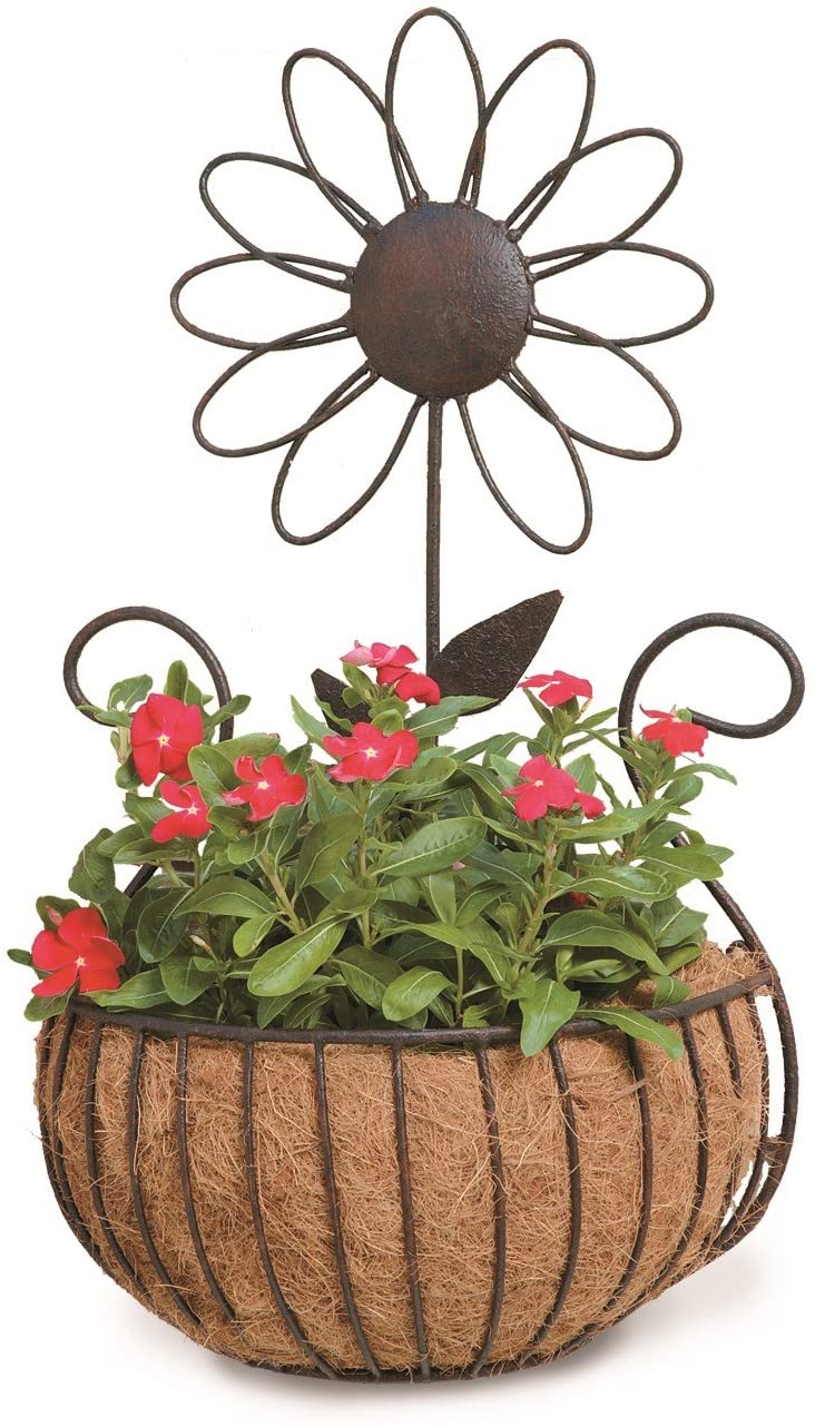 Metal Daisy Wall Basket with Coco Liner