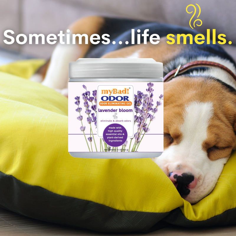 my Bad! Odor Eliminator Gel 15 oz - Lavender Bloom,  Air Freshener - Eliminates Odors in Bathroom, Pet Area, Closets